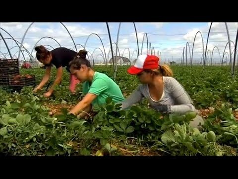 Mujeres marroquíes: matrimonio en España