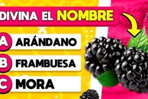 Variedad de frutas con la letra V: Descubre las opciones saludables y deliciosas