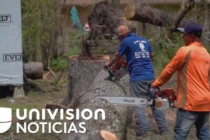 Oportunidades laborales para hispanos en Nueva Orleans