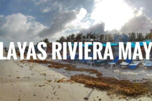 Explora las Mejores Playas de la Riviera Maya
