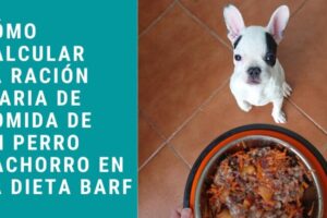 Guía de porciones de alimentos para cachorros