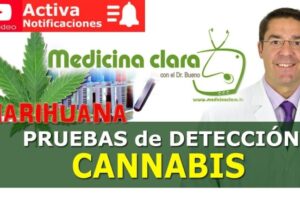 Duración de la marihuana en sangre y orina