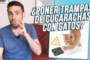 Mata cucarachas sin toxicidad para mascotas: la solución óptima y segura