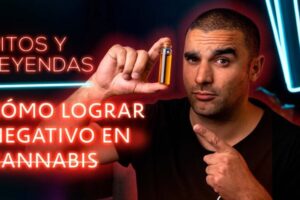 Tiempo estimado para eliminar el THC del sistema urinario