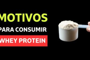 Beneficios de la proteína whey isolate: ¿Para qué sirve realmente?