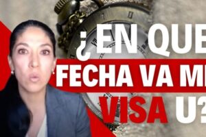 ¿En qué año se renueva la visa U?