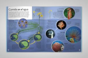 El Libro del Agua de la Vida