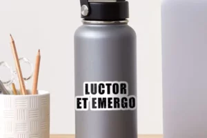 Luctor et Emergo: Superando las Llamas