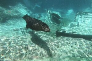 ¿Se puede beber agua del grifo en Benidorm?