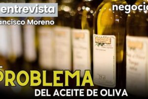 Los principales productores de aceite de oliva en España