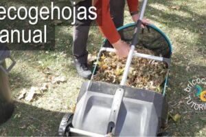 Maquinas para Recoger Hojas en el Jardin: Guía de Compra