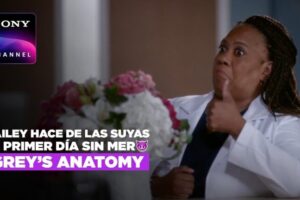 Dónde ver Grey’s Anatomy en español gratis