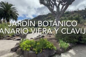 Entradas al Jardín Botánico de Chicago: Todo lo que necesitas saber