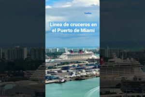 Cruceros desde Miami: Descubre las Mejores Líneas