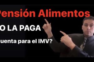 La pensión de alimentos y el ingreso mínimo vital: ¿cómo se relacionan?