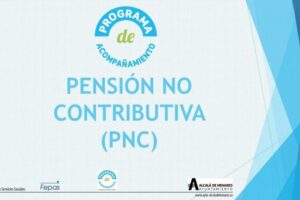 Compatibilidad de la pensión no contributiva con la dependencia