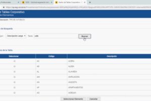 Optimización de la Identificación de Empresas y Asignación Inicial de CCC para Empresarios Colectivos