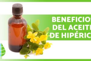 Beneficios del aceite de perico: usos y propiedades