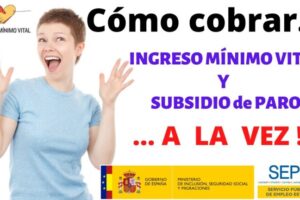 Compatibilidad del Ingreso Mínimo Vital con la Ayuda Familiar