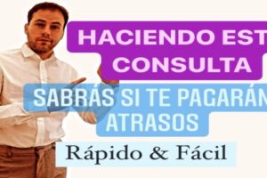 ¿Cómo conocer los retrasos del Ingreso Mínimo Vital?